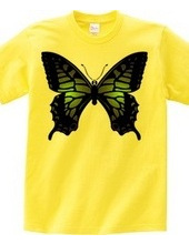 Swallowtail_B