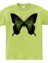 Swallowtail_B