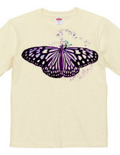 Butterfly 2