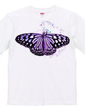 Butterfly 2