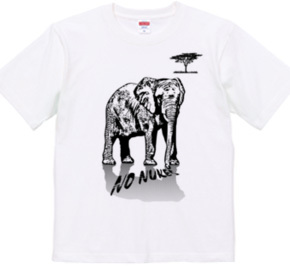 ELEPHANT_1K