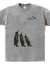 KING PENGUIN_1C