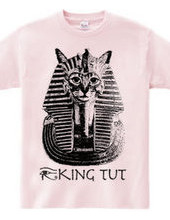 King Tut cat