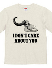 i don t care about you