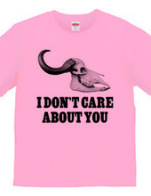 i don t care about you