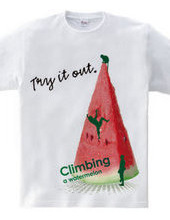 Climbing watermelon