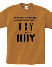 Planaria Experimant