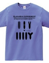 Planaria Experimant