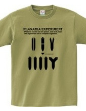 Planaria Experimant