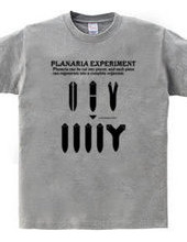 Planaria Experimant