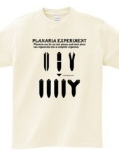 Planaria Experimant