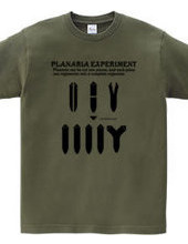 Planaria Experimant