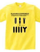 Planaria Experimant