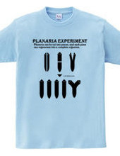 Planaria Experimant