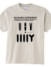 Planaria Experimant