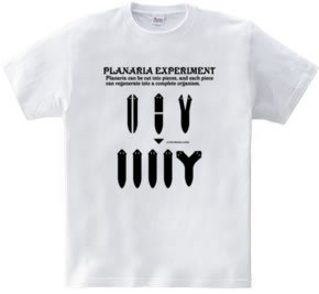 Planaria Experimant