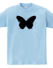 Butterfly2