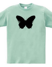 Butterfly2