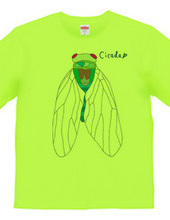 Cicada