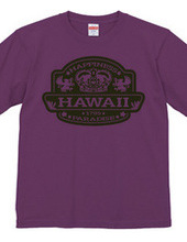 hawaii-T 2