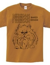 persian cat 01