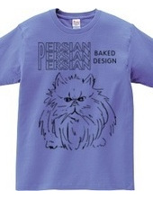 persian cat 01