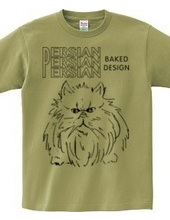 persian cat 01