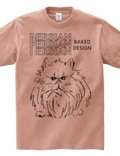 persian cat 01