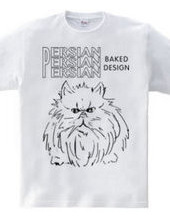 persian cat 01