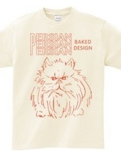 persian cat 02