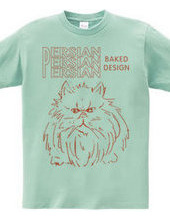 persian cat 02