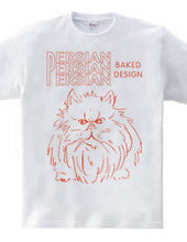 persian cat 02