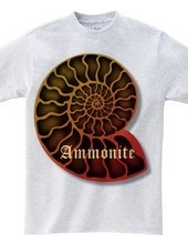 Ammonite