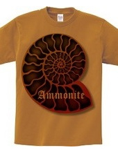 Ammonite