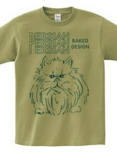 persian cat 03