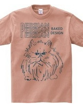 persian cat 03