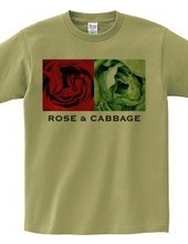Rose & Cabbage