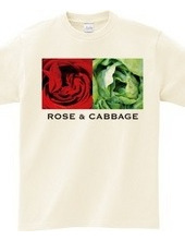 Rose & Cabbage