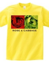 Rose & Cabbage