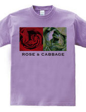 Rose & Cabbage