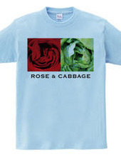 Rose & Cabbage