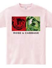 Rose & Cabbage