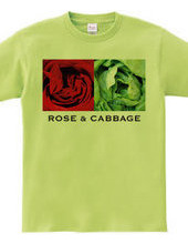 Rose & Cabbage