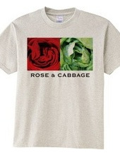 Rose & Cabbage