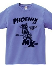 PHOENIX MX B