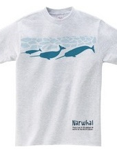 narwhal