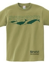 narwhal