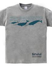 narwhal