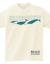 narwhal