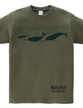 narwhal